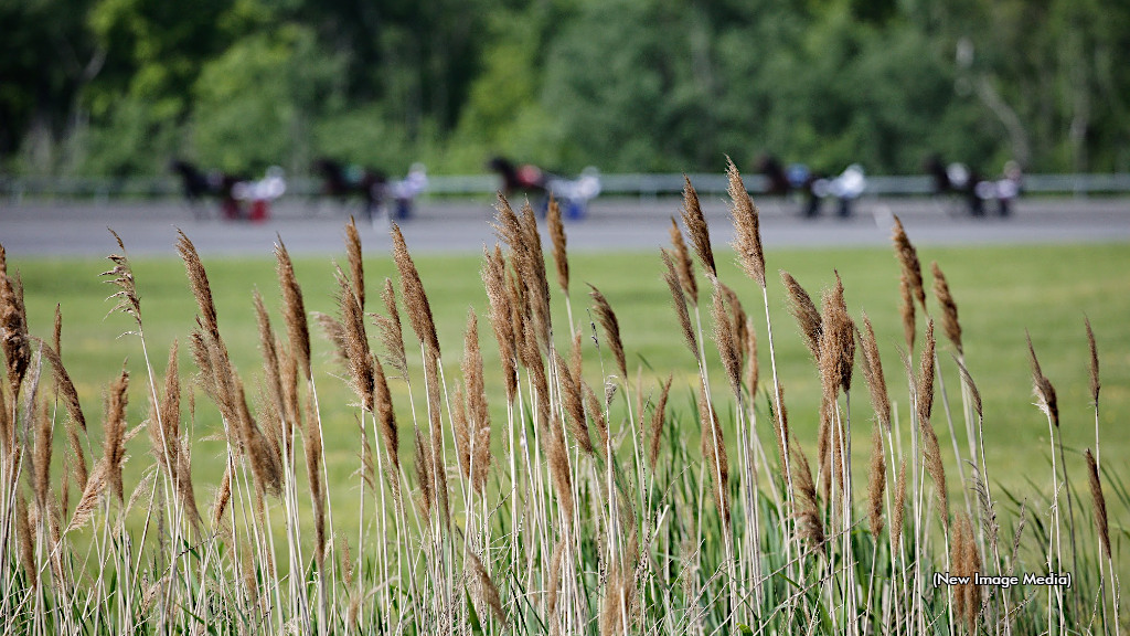 Gallucci & Millar Gals Get Friday Grand Slam