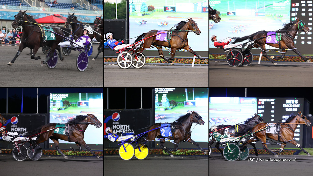 Ontario-Sired Stars Deliver In Somebeachsomewhere; Graduate Opens