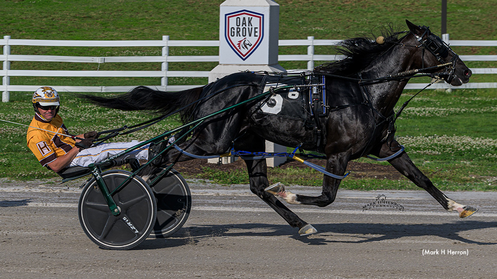'Muskateer' Massive At Oak Grove; Last Three Races Abandoned