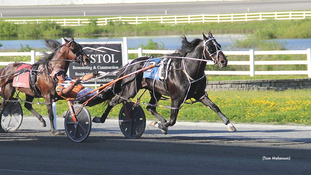 Natameri Scorches In Plainridge Open Pace
