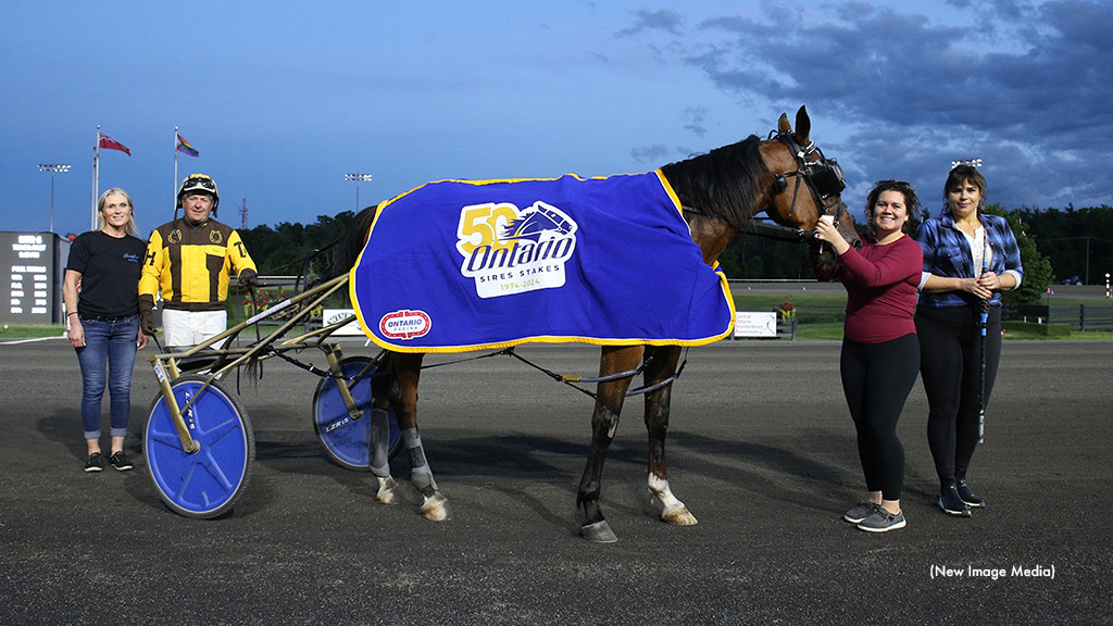 Northern Looker Career Best In OSS Gold