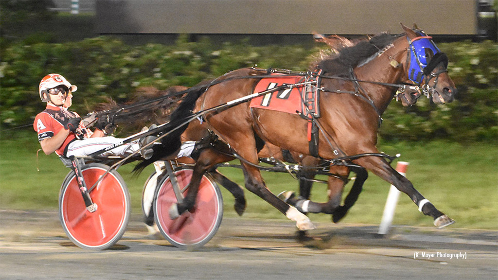 Nuttin But Finesse Smooth In Ocean Downs Open