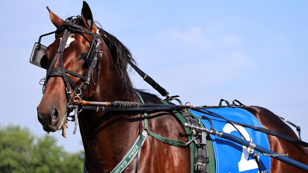 Daley Trainees Show Promise In Magical Acres Baby Races Daley Trainees Show Promise In Magical Acres Baby Races