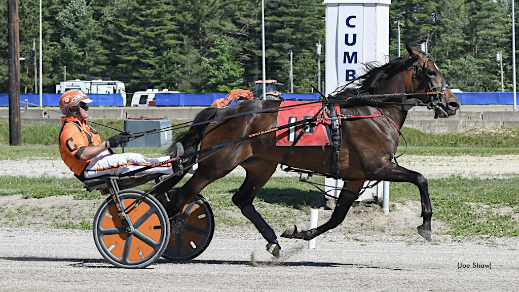 Grondin Sweeps Maine Trots At Cumberland