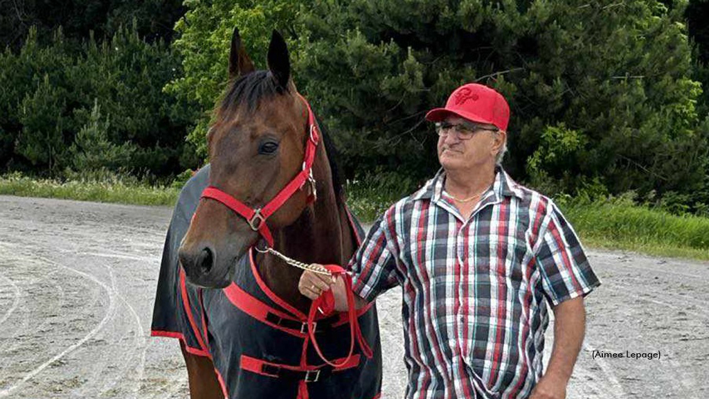 Lepage Making Headlines With One-Horse Stable