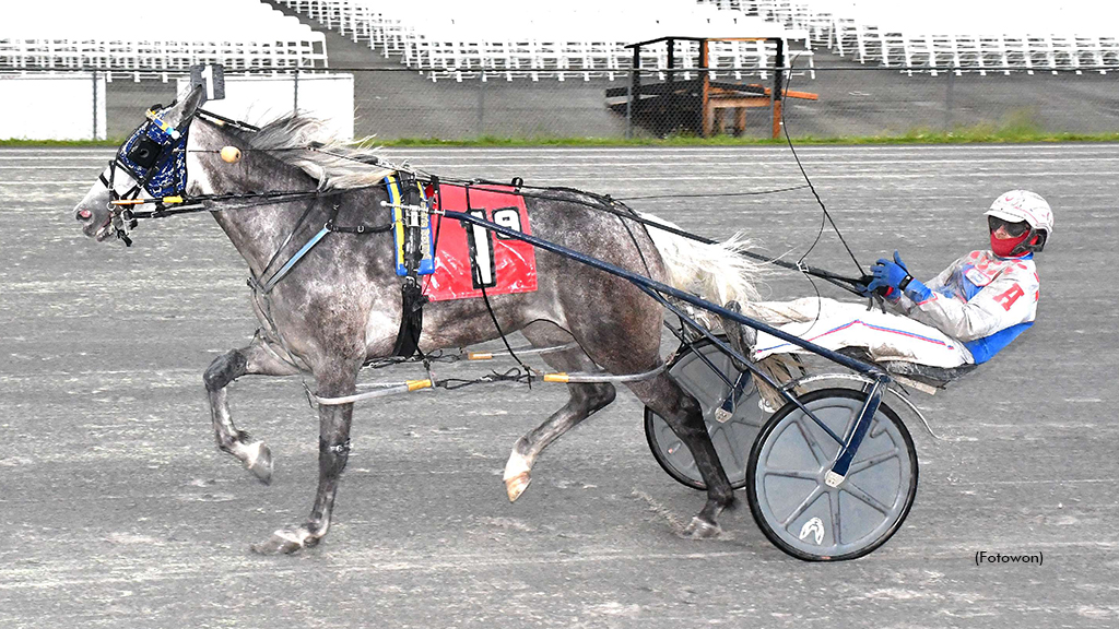 Prairie Magical Upsets In Vernon Mares Open