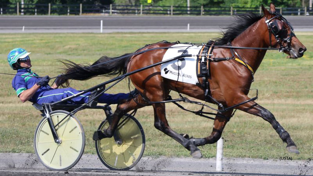 McCarthy Handles A Half Dozen Two-Year-Old Winners