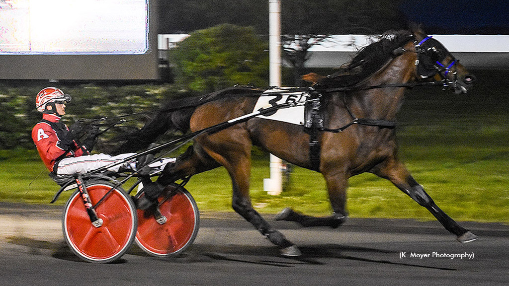 Sinatra De Vie Wins Ocean Downs Open 'His Way'