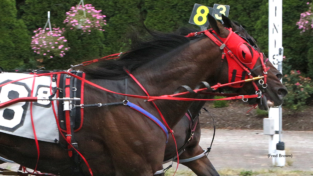 Sports Fan Caps Tioga Training Triple For MacIntosh