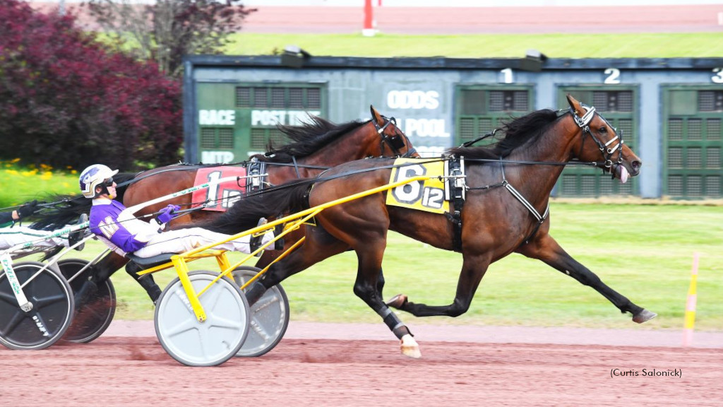 T C I, Security Protected PASS Repeaters