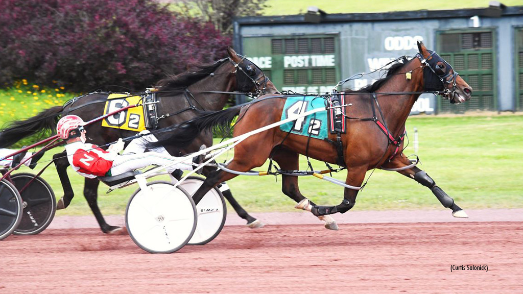 High-Priced Claimers Headline Sunday Pocono Card