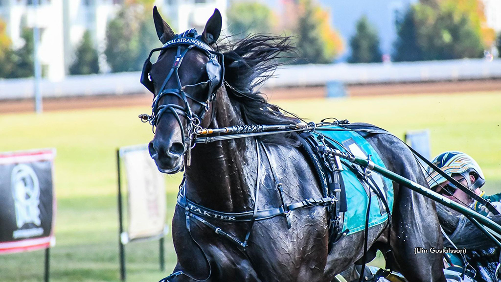 Breeder Avritt Seeks More North America Cup Success