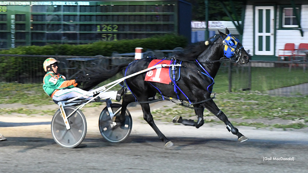 Twin B Tuffenuff Favoured At Red Shores Saturday