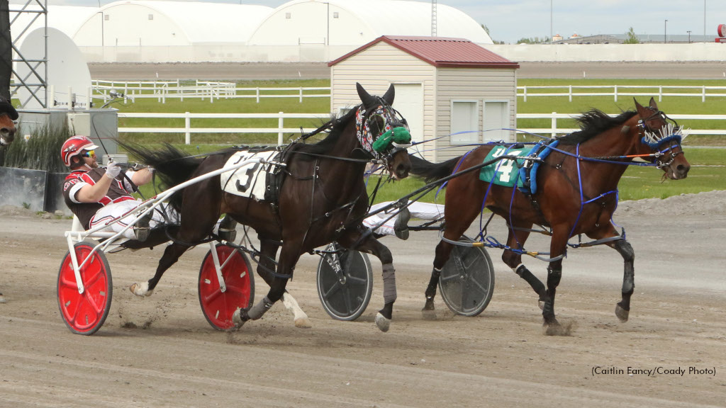 Upsets In Alberta Marksman, Century Downs Preferred