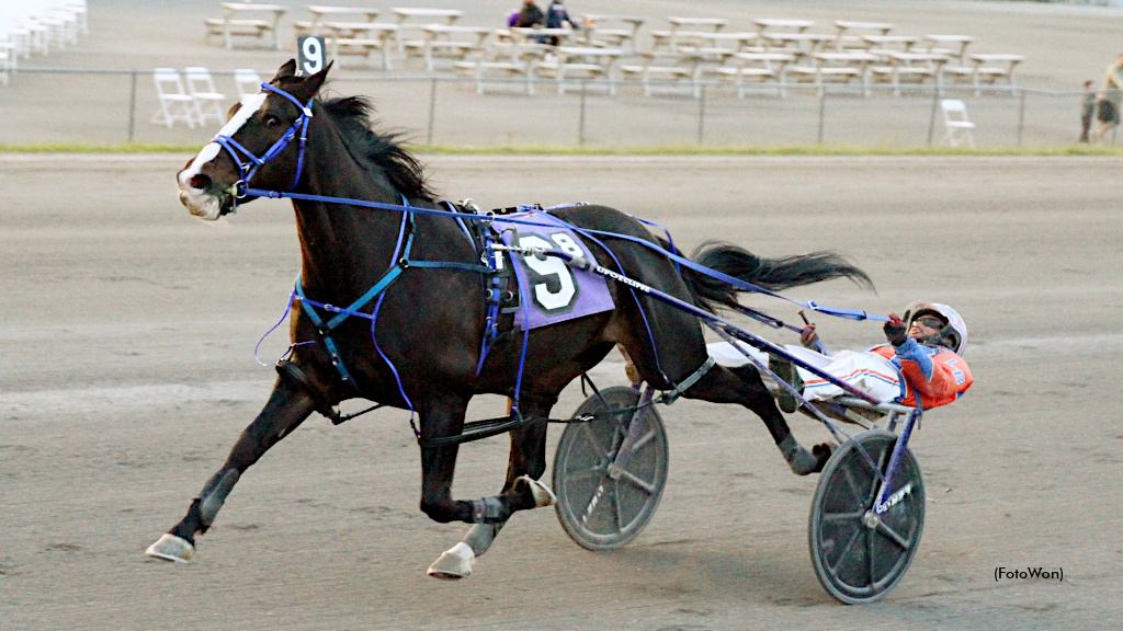 Bailey Wins Seven At Vernon Saturday