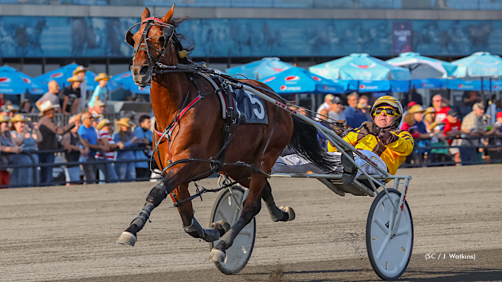 Update On Warrawee Vital