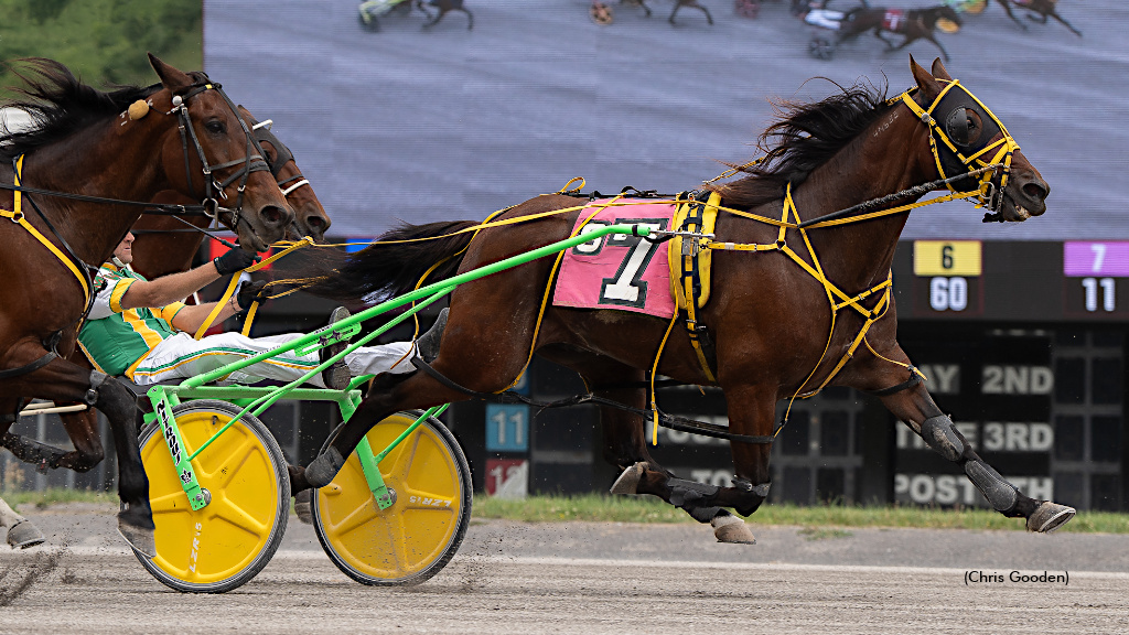 Youmakemyheartsing Shoots Through For Meadows Win