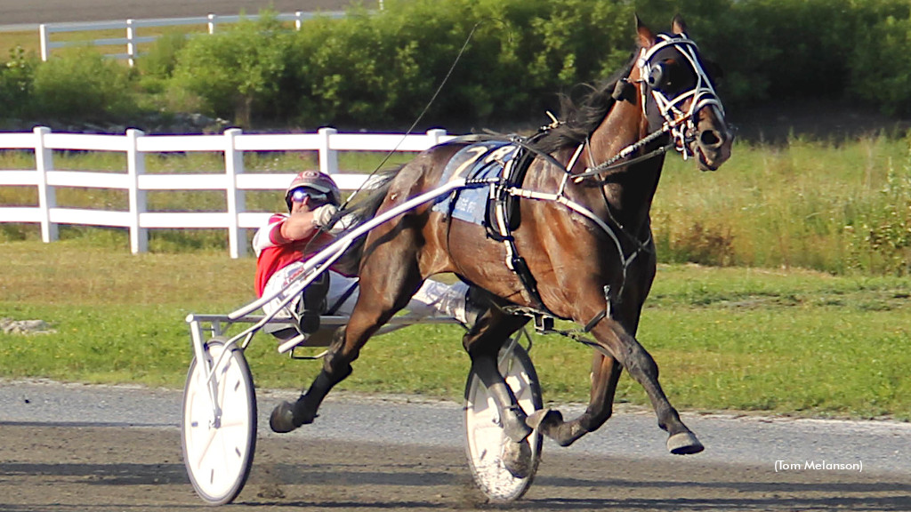 Big Box Hanover Delivers In Plainridge Open