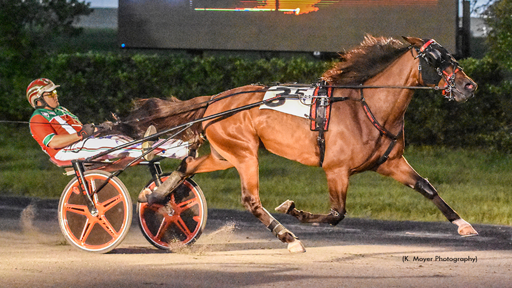 Armbro Flight Champ Dominates Maryland Stakes