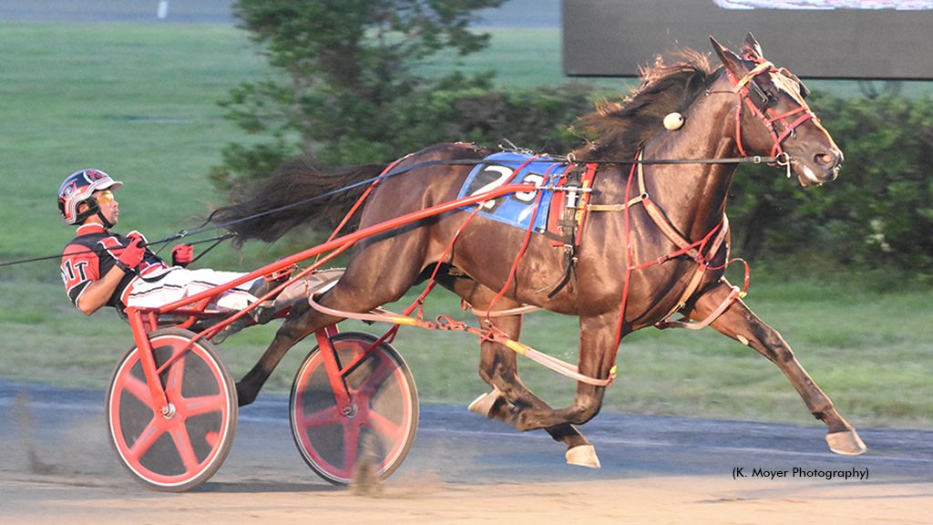 Deebo Hanover, Primo Maschio Star In Ocean Series