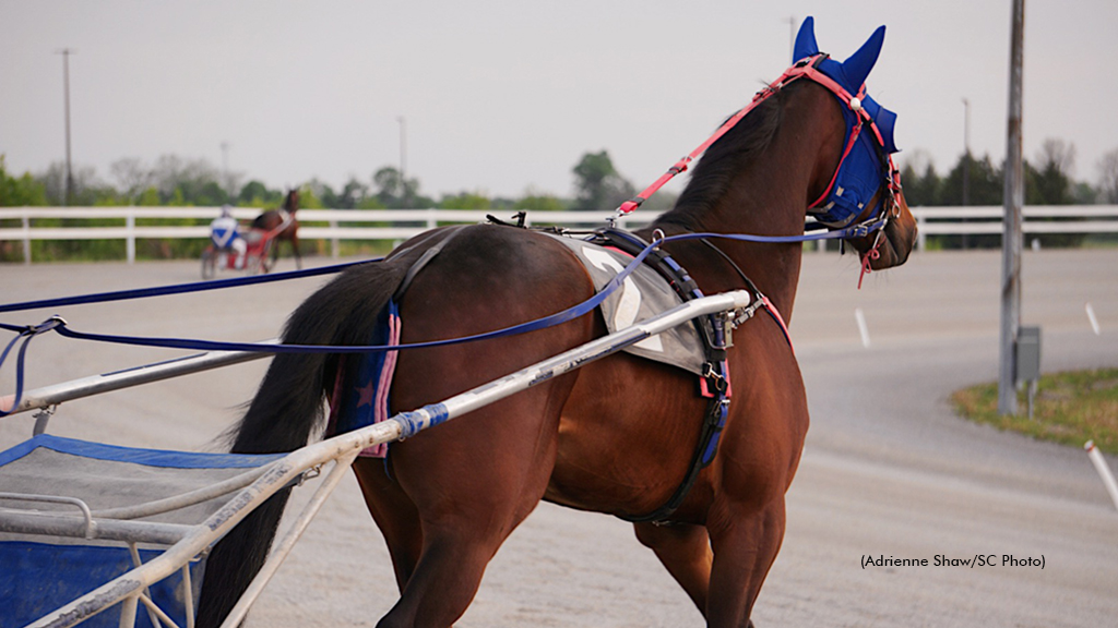 Flamboro, Grand River Entry Boxes Remain Open