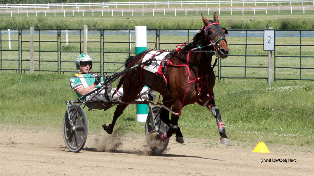 Six Wins For Kelly At The Track On 2
