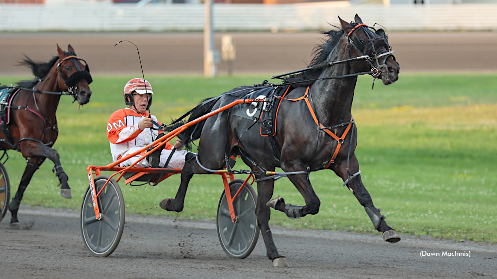 Im Sir Scarlet, One Wicked Man Triumph At Summerside