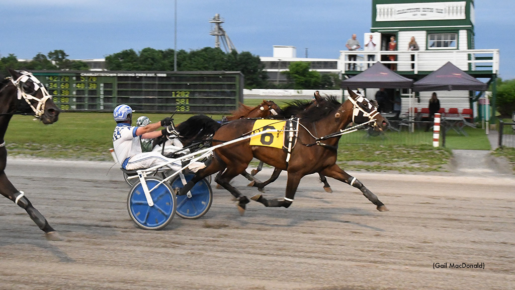 Jessiejesorjessica Favoured For An Open Three-Peat