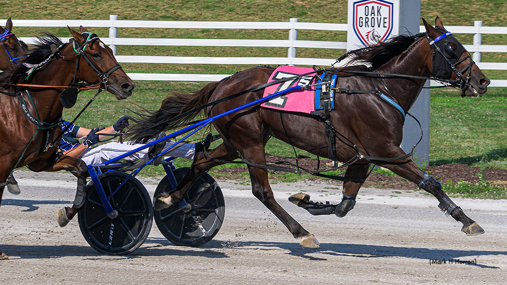 Marloe Hanover Grinds To Oak Grove Open Victory