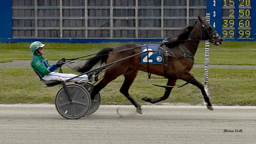 Trotters Head To Summerside For P.E.I. Colt Stakes