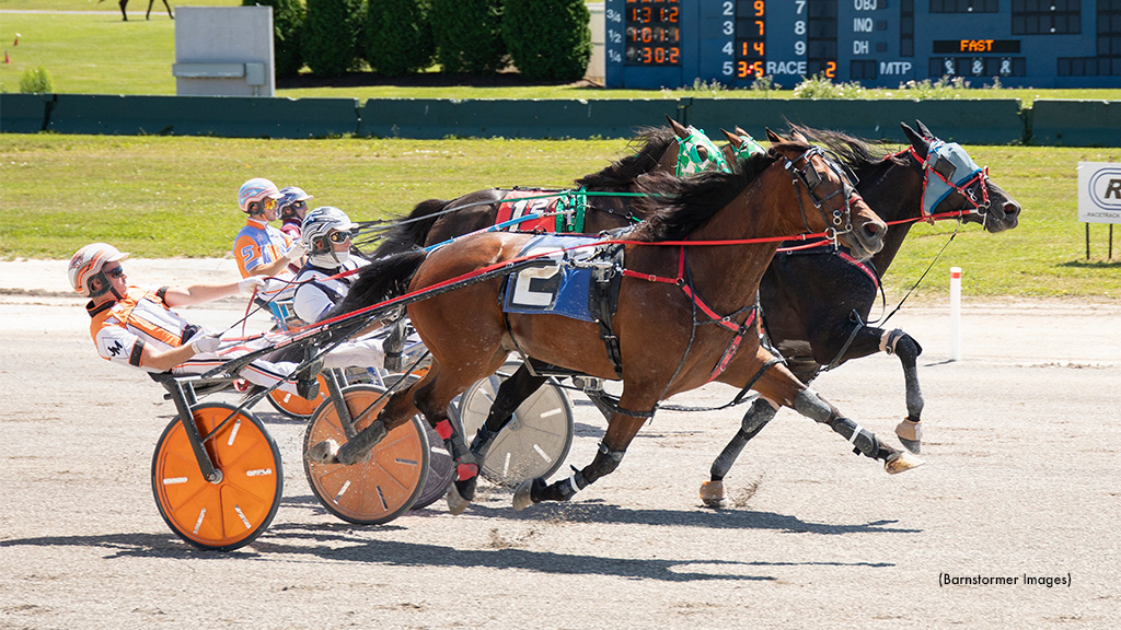 Pennant Seelster, Classic Sunny Dead Heat At Buffalo