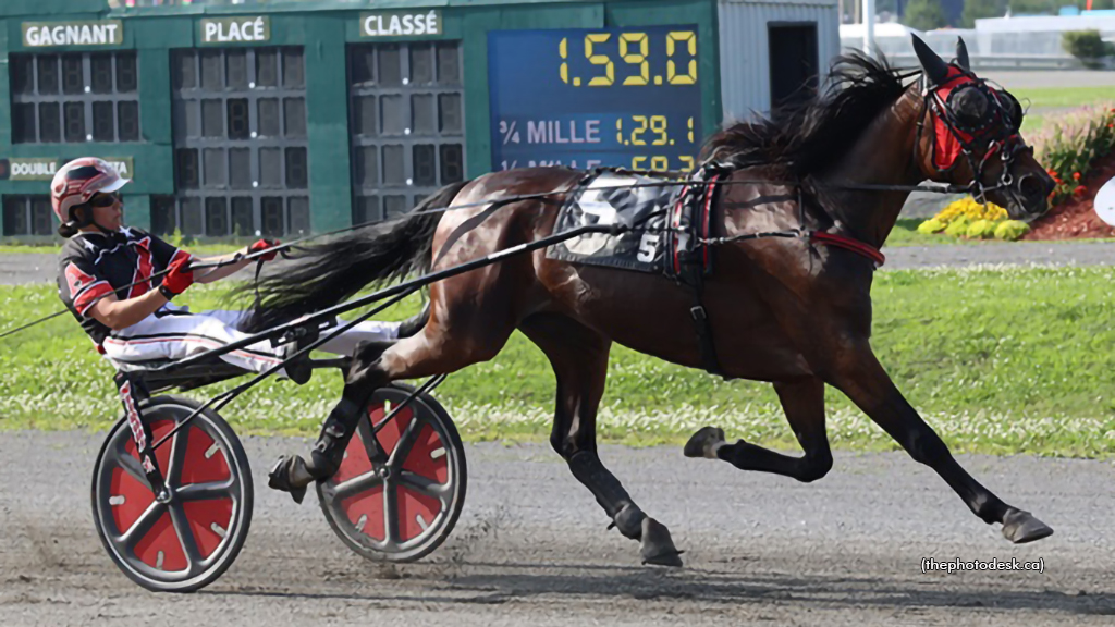 Auger Aims For More Quebec Stakes Success With Trotters