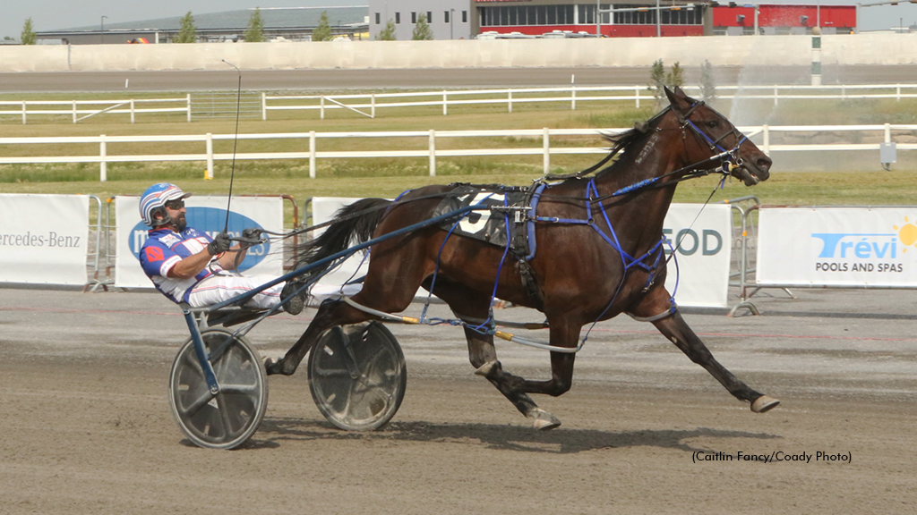 Shark Week Stellar In Preferred
