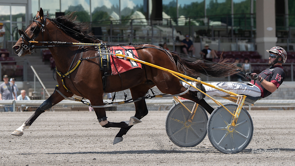 Sippinonsearoc Debuts Impressively In Pop-Up Series