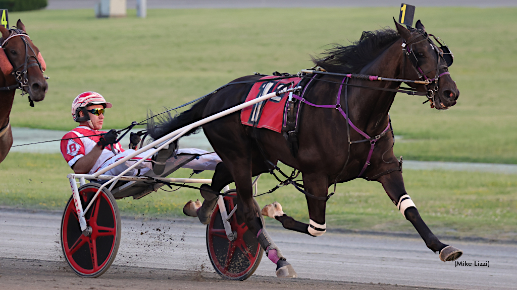 Sir Pinocchio, Fly By Best In Yonkers NYSS