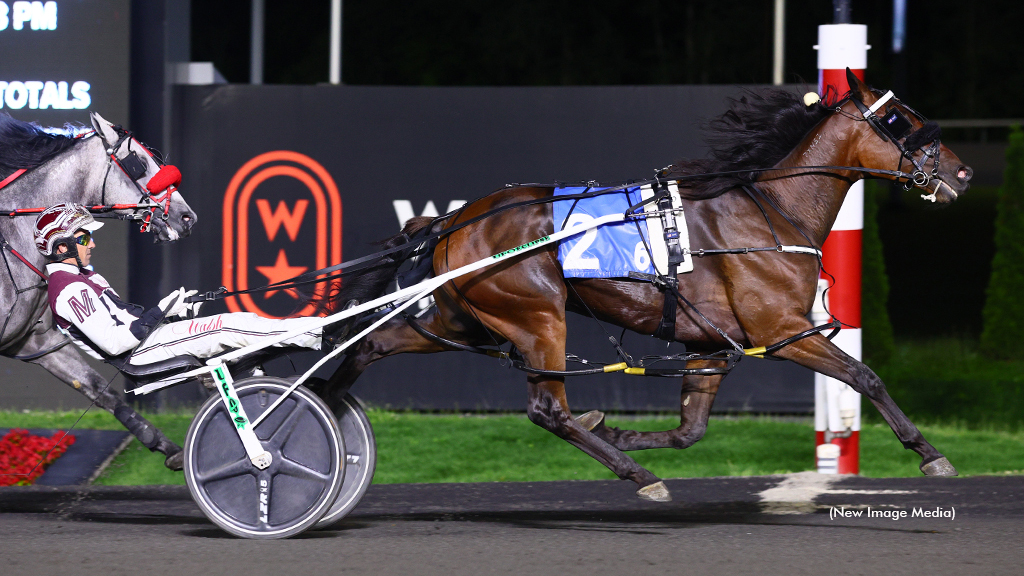 TROT N.A. Cup Spring Book Profile: Stonebridge Wizard