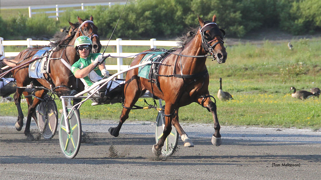 Swedish Starlet N Captures Plainridge Distaff Open