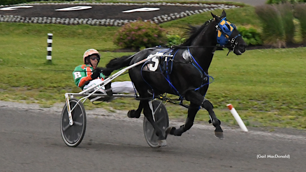 Twin B Tuffenuff One Of Five Wins For Barrieau At Charlottetown