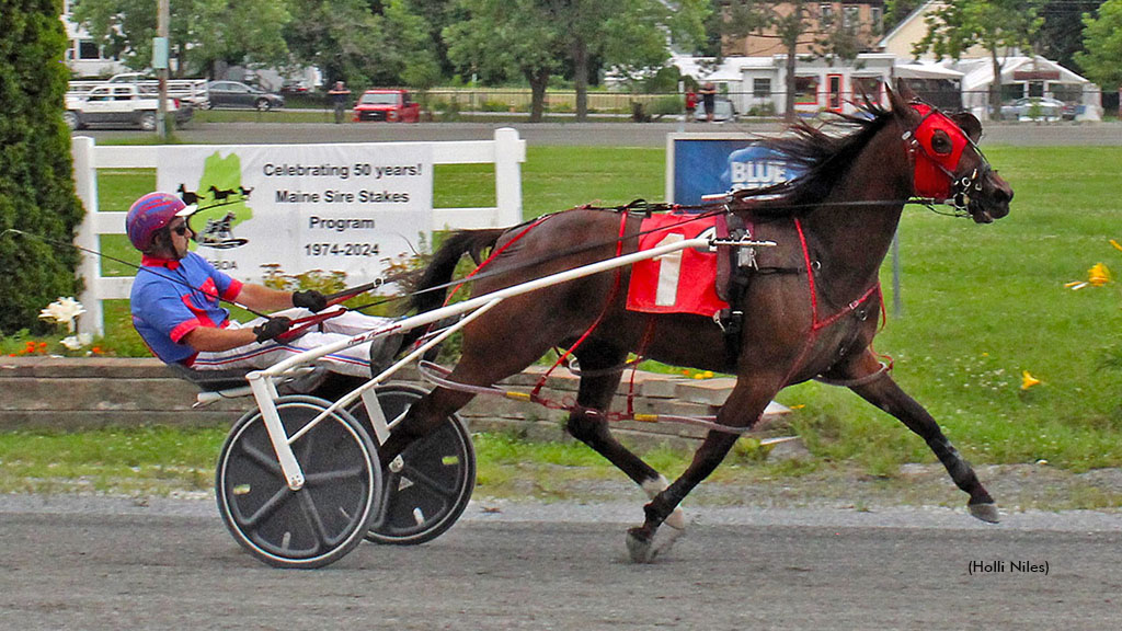 Sophomore Pacers Enter Week Five Of Maine Sire Stakes