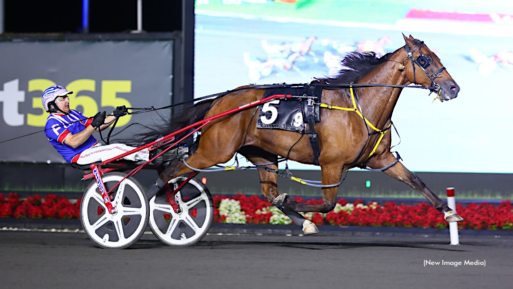 Whichwaytothebeach Wires Field In Mohawk Preferred Pace