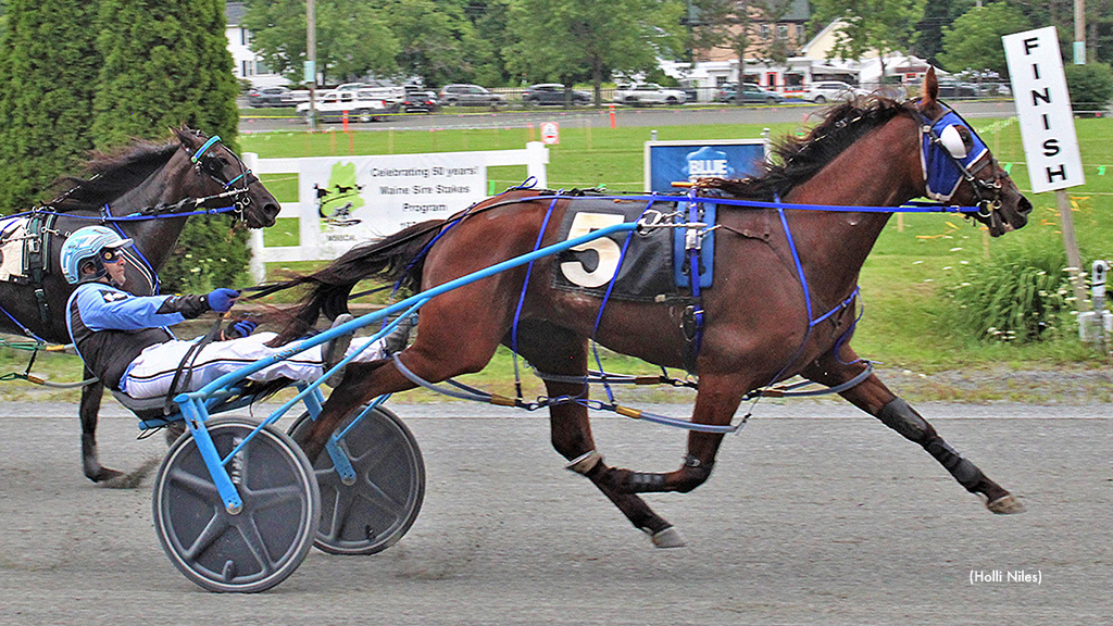 Tardif-Switzer Sweep Maine Sires Stakes