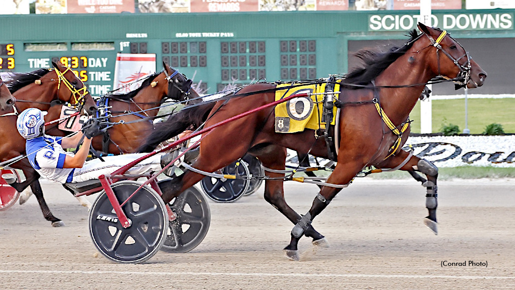 What An Ocean View An Eye-Catching Adamsky Winner