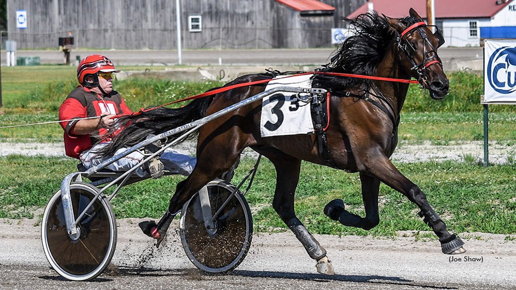 Maine's Freshman Trotters Debut At Cumberland