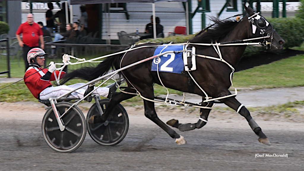 Eight Straight For Woodmere Heather M