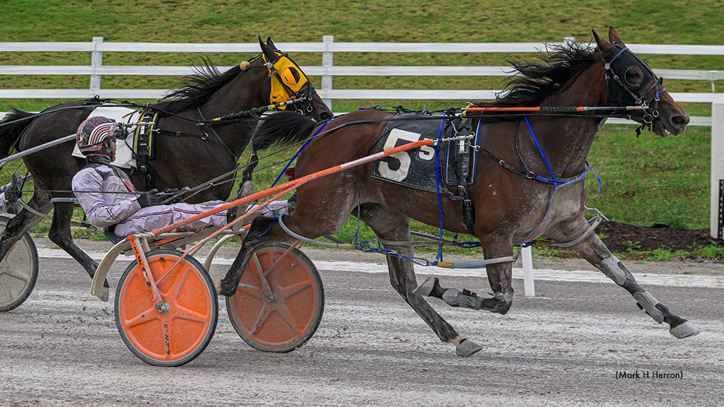 Yankee B Something Upsets In Oak Grove Open