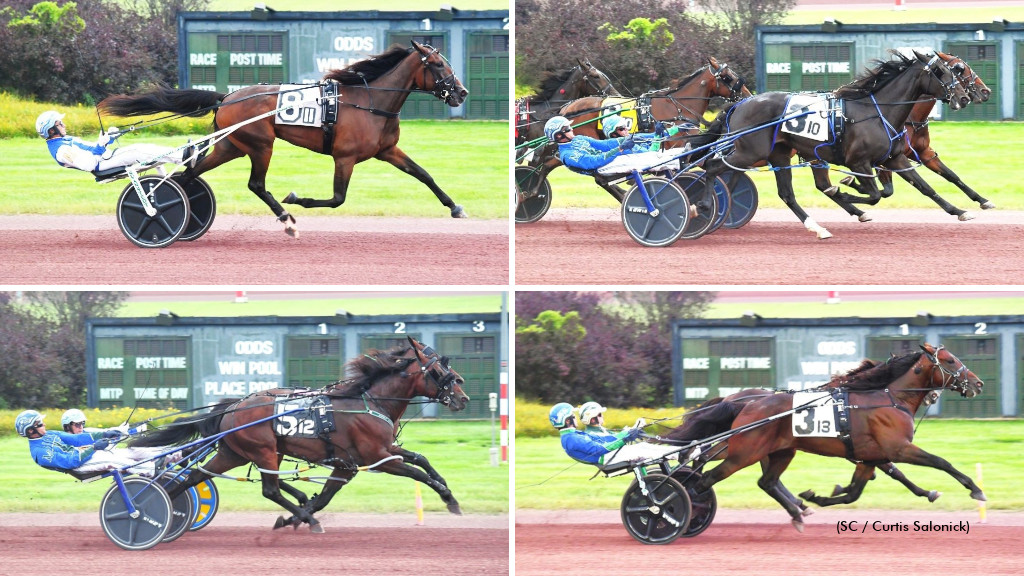 Sun Stakes Saturday Card Complete