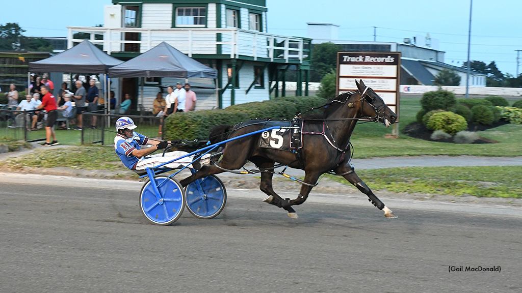 Blue Hunt Smokes Charlottetown