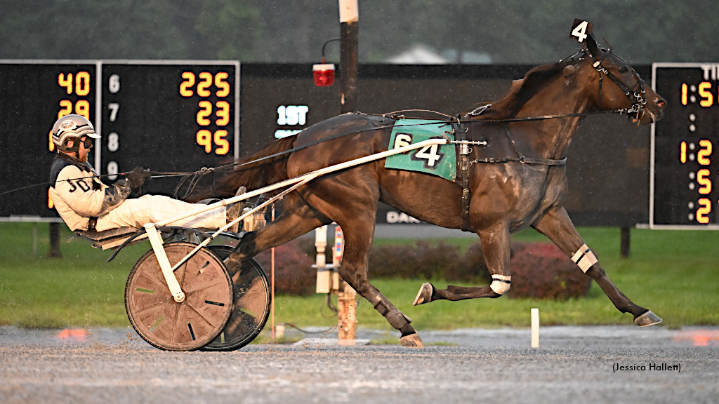 Bluffinner Back In Saratoga Open