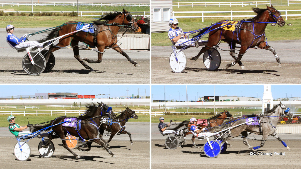 Fireworks In 2024 Finale At Century Downs