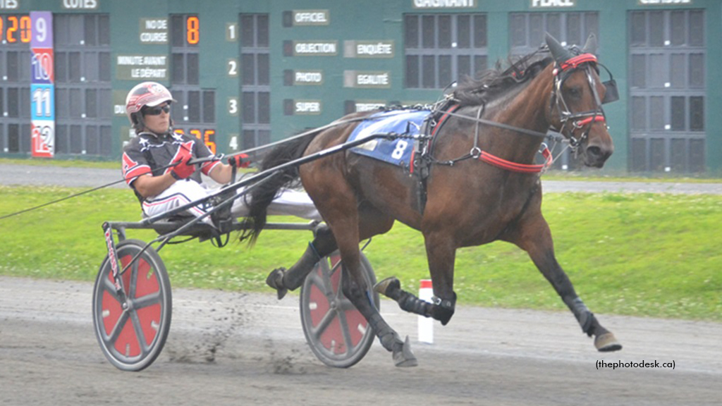 Chic Choc Rose Stays Undefeated In Quebec Stakes